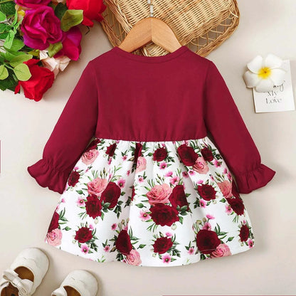 Autumn  And Winter 1-2Years  Old  Baby Girls Dress Long  Sleeve    Newborn Baby Girl  Princess  Outfit C1065